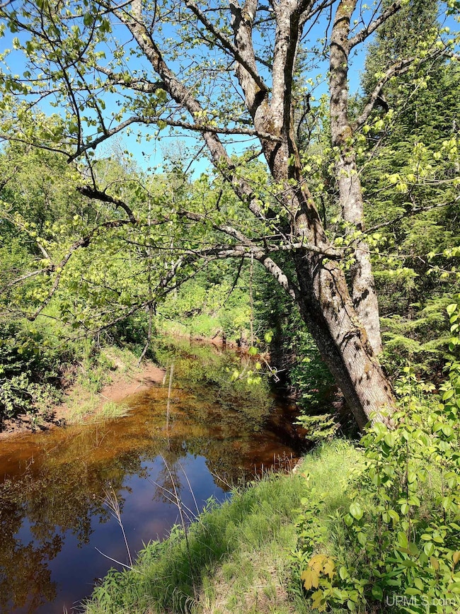 TBD M38, Ontonagon, MI 49953 - photo 3