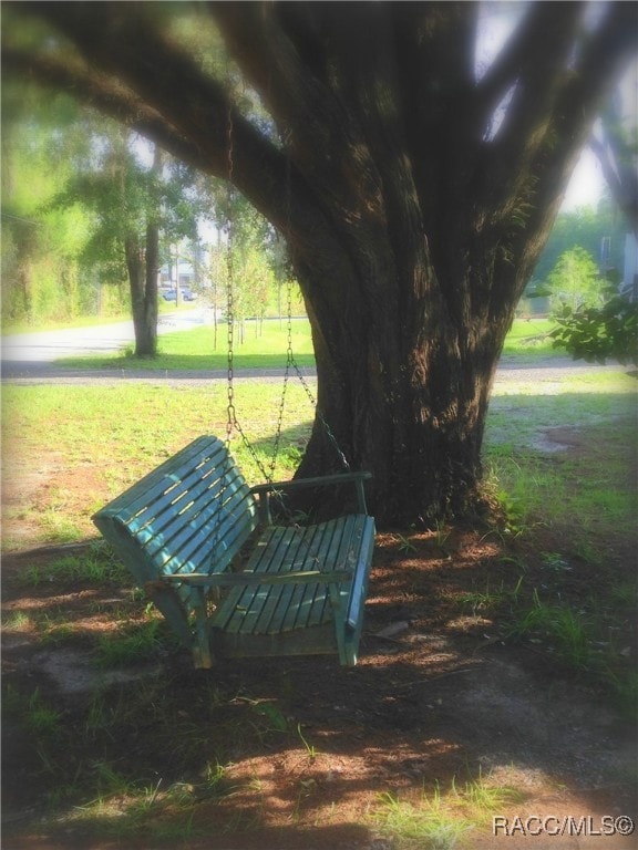 00-00 Pennsylvania Ave, Crystal River, FL 34429 - photo 5