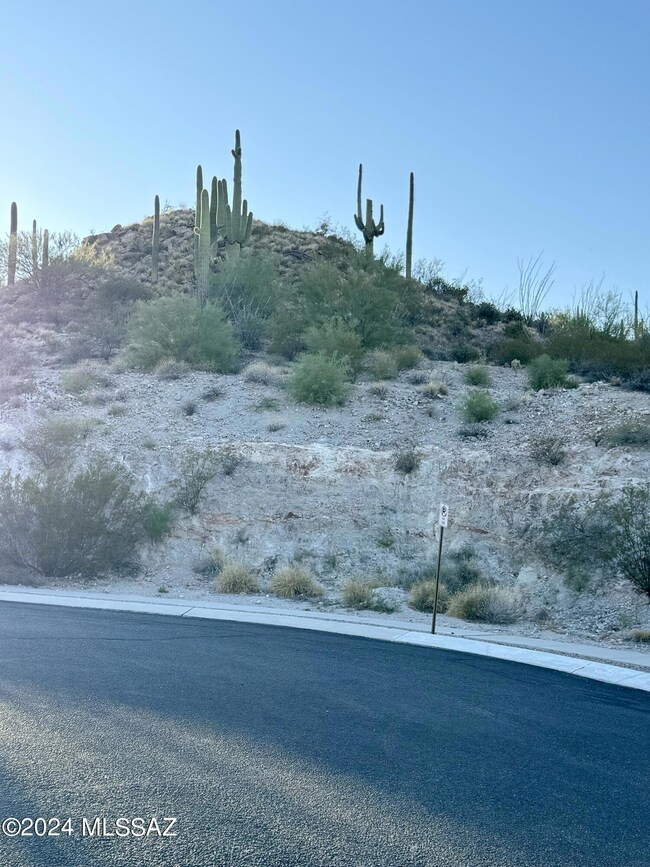 2096 S Twinkling Starr Dr unit 11, Tucson, AZ 85745 - photo 6