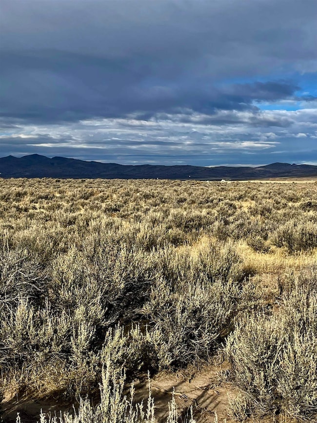 00 Deep Cut Rd, Litchfield, CA 96117 - photo 3