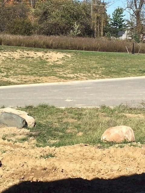 5670 Carter Ct, Dexter, MI 48130 - photo 4