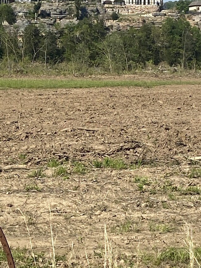 0 Dancing Eagle Ln unit RTC3047506, Clifton, TN 38425 - photo 4