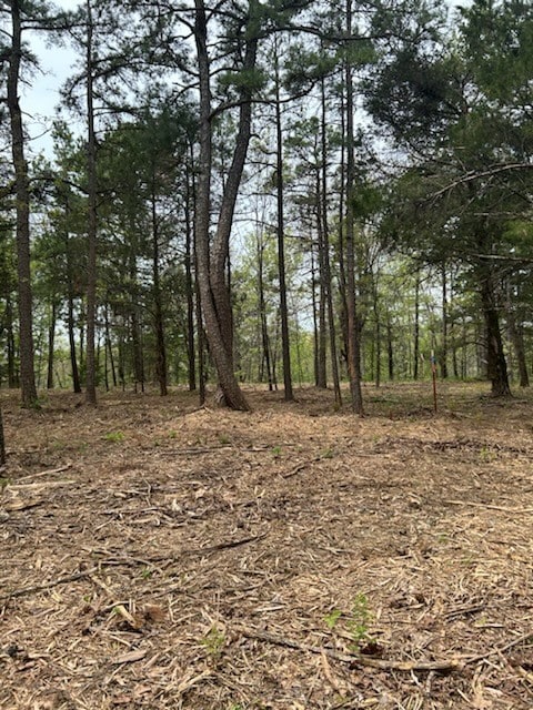 0 4540 Rd unit 1306170, Ozone, AR 72854 - photo 6