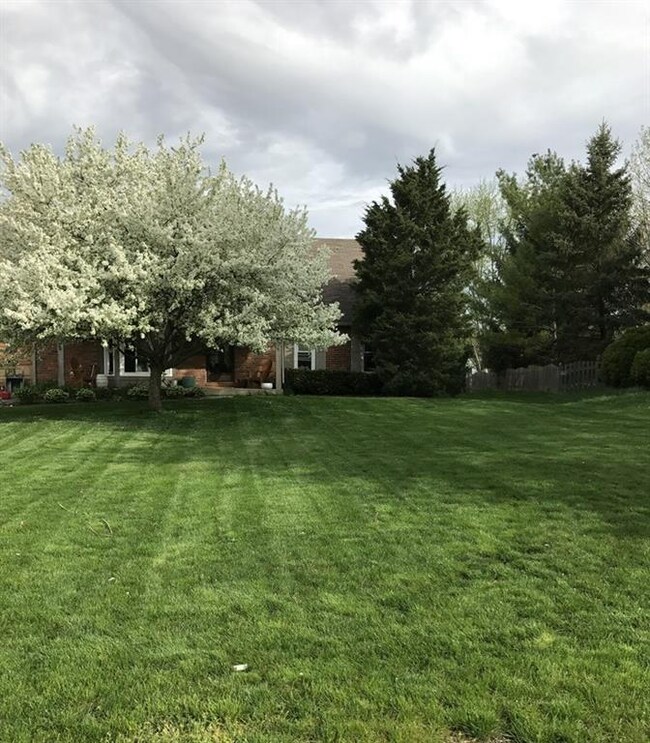 Beautiful flowering trees in the front yard