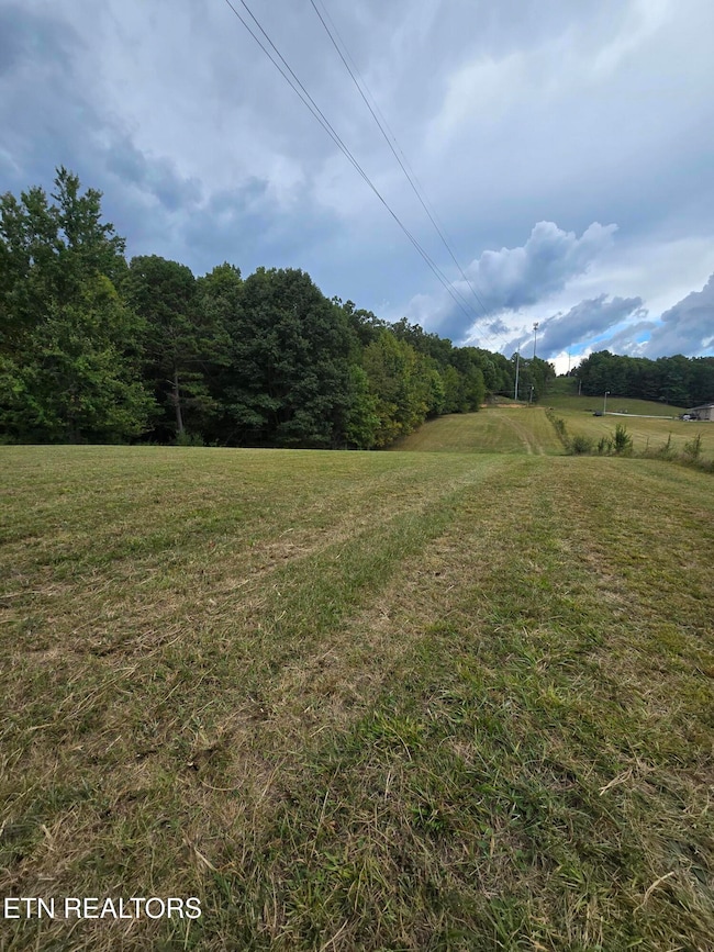 0 Eli Ln, Oneida, TN 37841 - photo 4