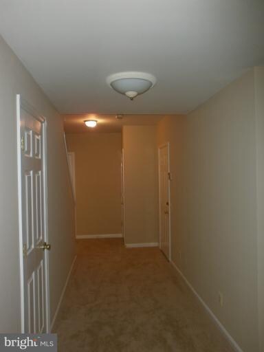 5130 Observation Way, Alexandria, VA 22312 - photo 5