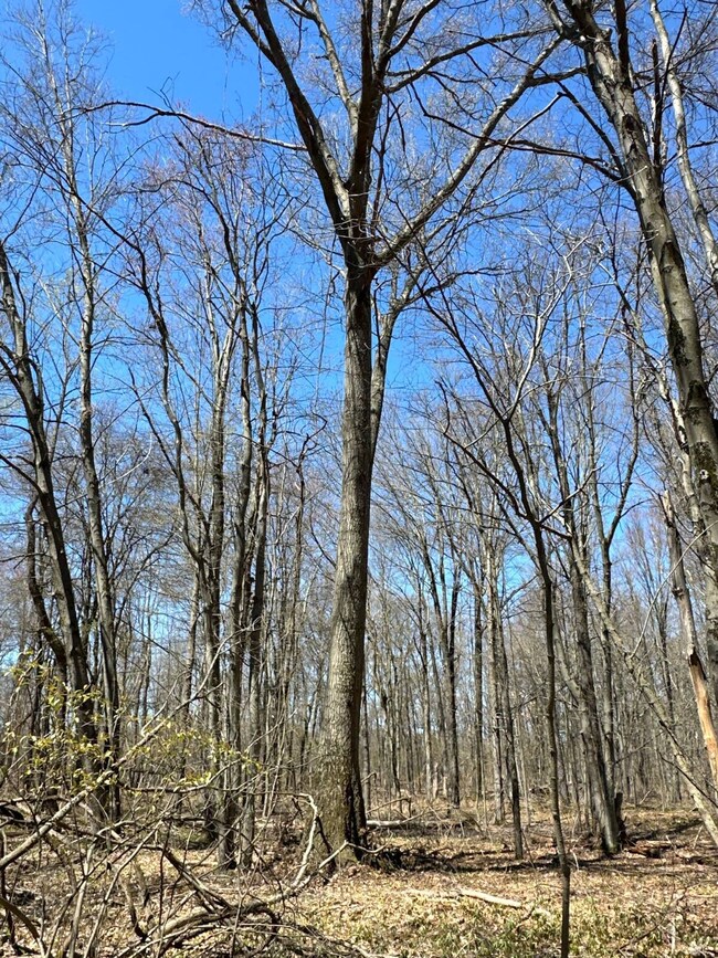 00WP Wemple Rd, Glenmont, NY 12077 - photo 2