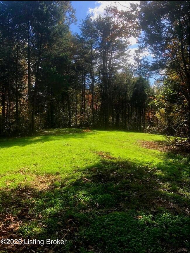 0 Nan Bishop Rd, Glasgow, KY 42141 - photo 2