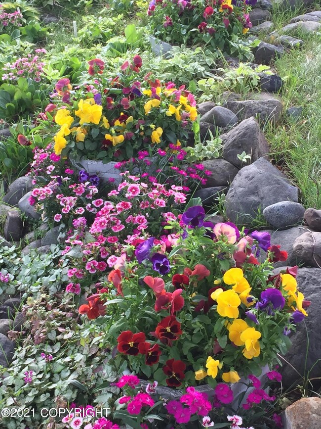 Beautiful Gardens around property