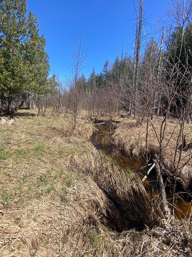 creek