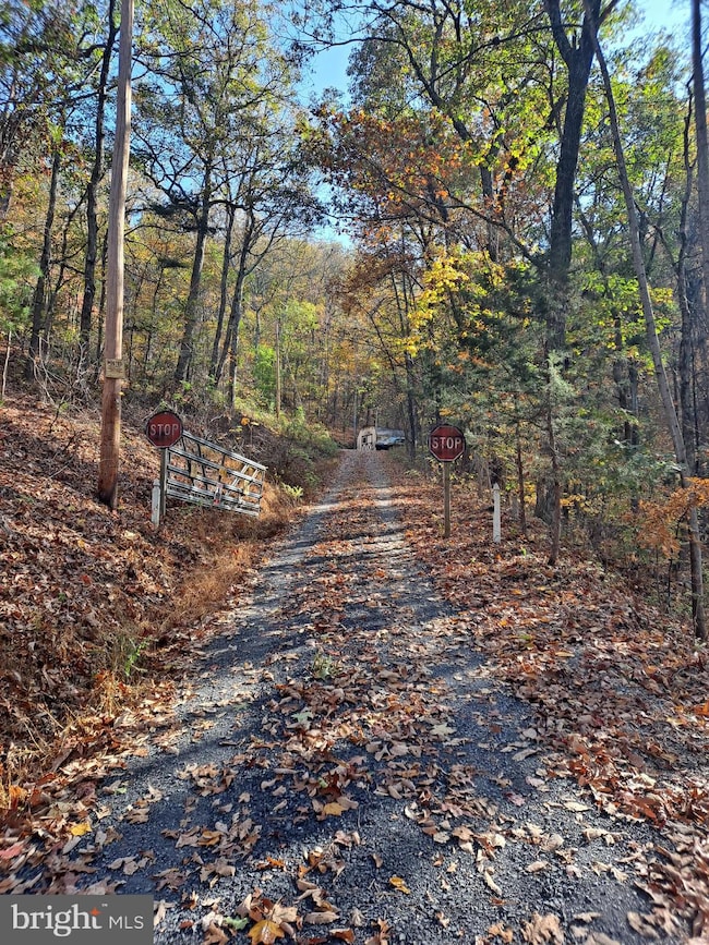 0 Cedar Rd, Strasburg, VA 22657 - photo 2