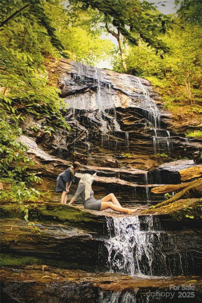 0 the Falls Rd unit CAR4327364, Union Mills, NC 28167 - photo 4