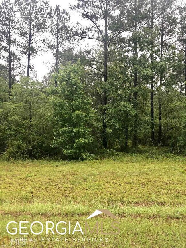 0 Apalachicola Trail unit LOT 40 20128113, Dublin, GA 31021 - photo 6