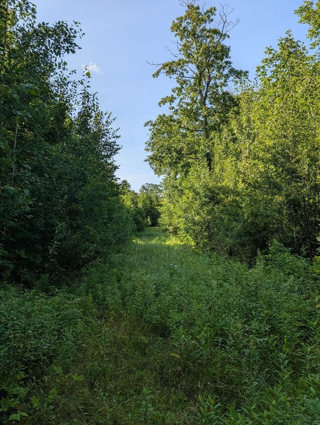 Parcel 3 unit Y RD, Exeland, WI 54835 - photo 7