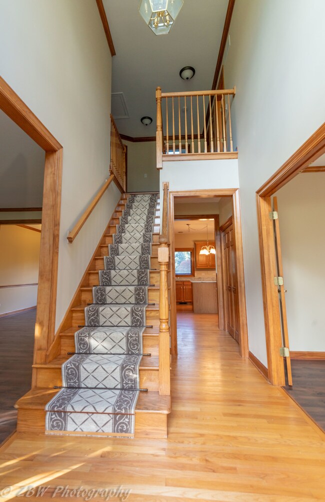 23922 Pheasant Run Ct, Naperville, IL 60564 - photo 5