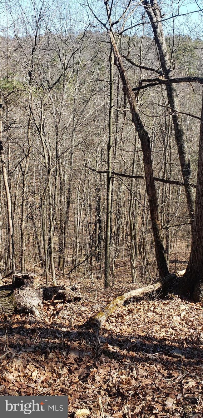 Lots 34 & 35 Aspen Way N, Basye, VA 22810 - photo 5