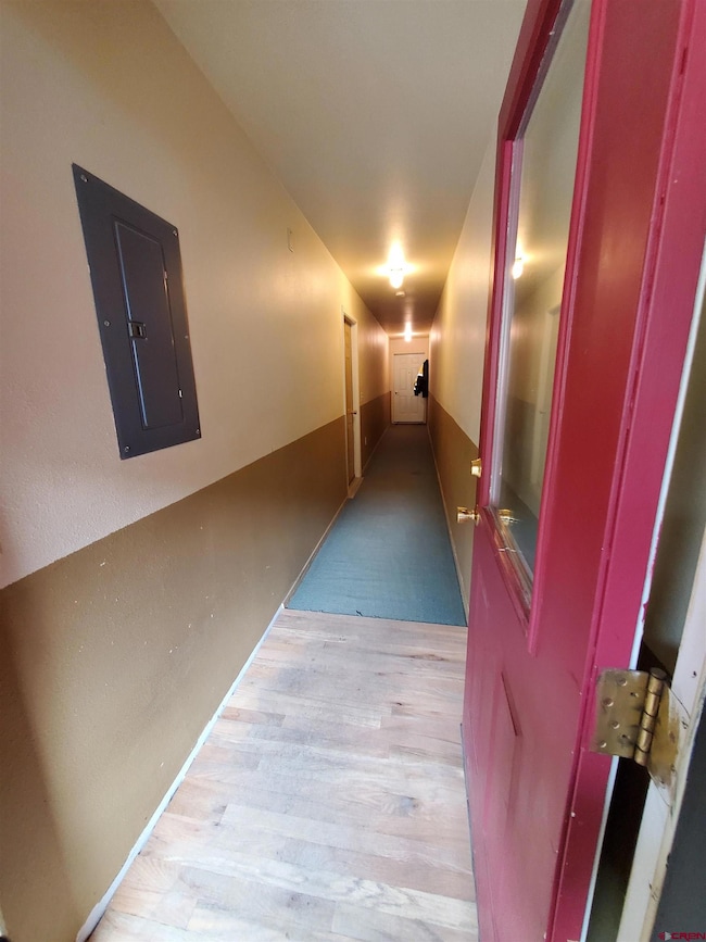 1145 Greene St, Silverton, CO 81433 - photo 7