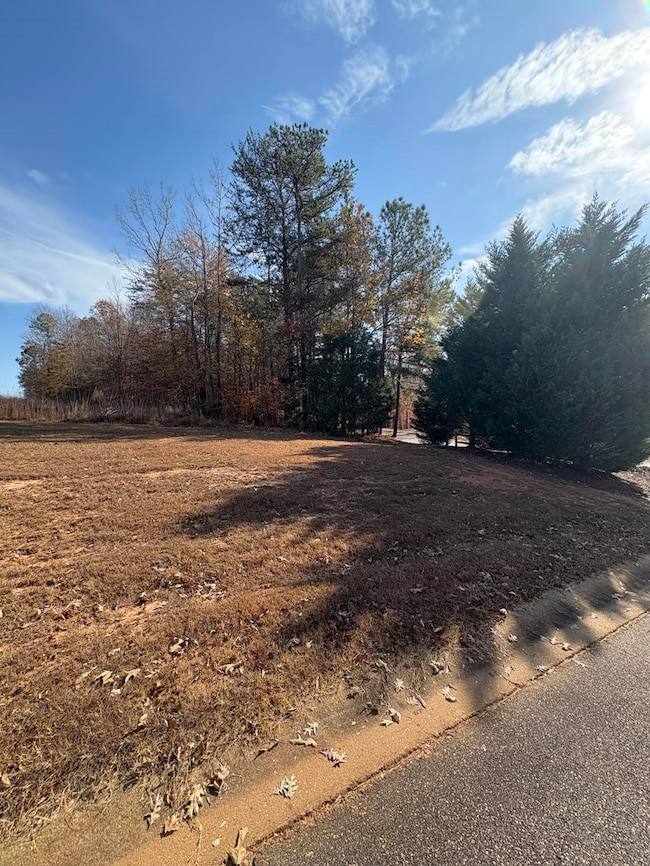 305 Lawtonwood Ln, Spartanburg, SC 29376 - photo 2