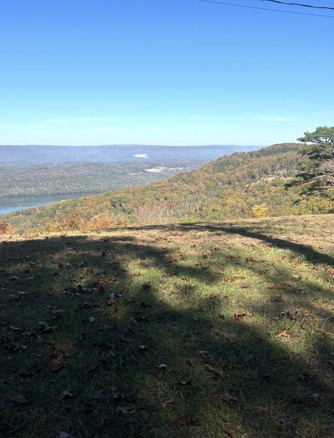 Lot 41 Wohalie Ln, South Pittsburg, TN 37380 - photo 5