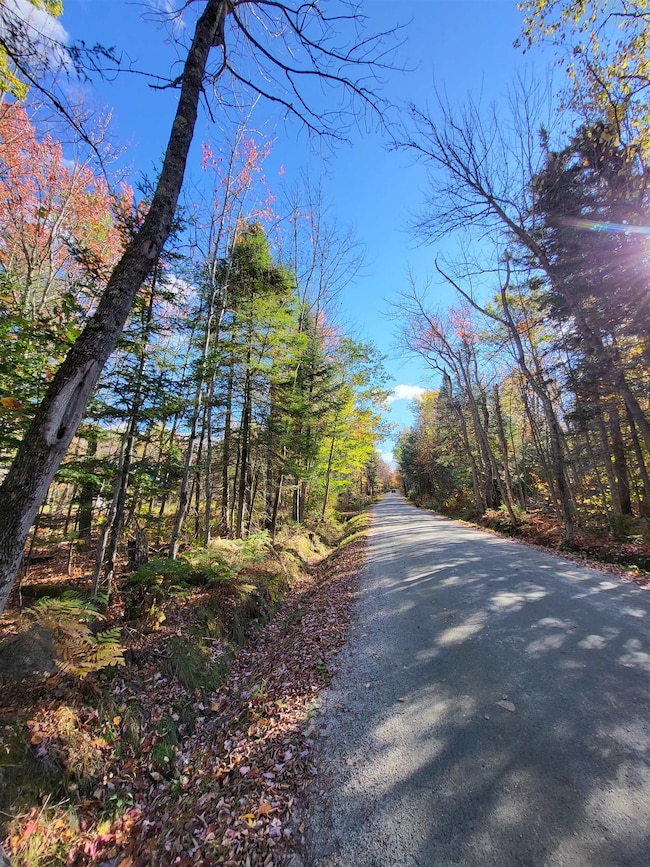 00 Swazey Ln unit 14, Bethlehem, NH 03574 - photo 2