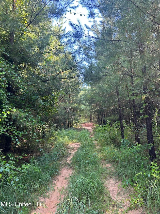 0 Mccullough Rd SE, Bogue Chitto, MS 39629 - photo 5