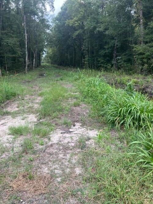 6572 N Highway 17, Awendaw, SC 29429 - photo 3