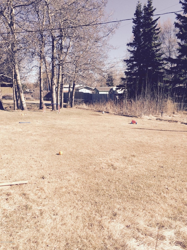 backyard 2
