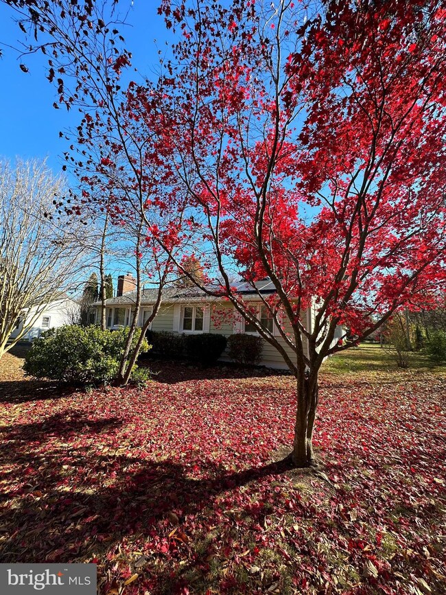 43855 Bardmore Way, Leonardtown, MD 20650 - photo 2