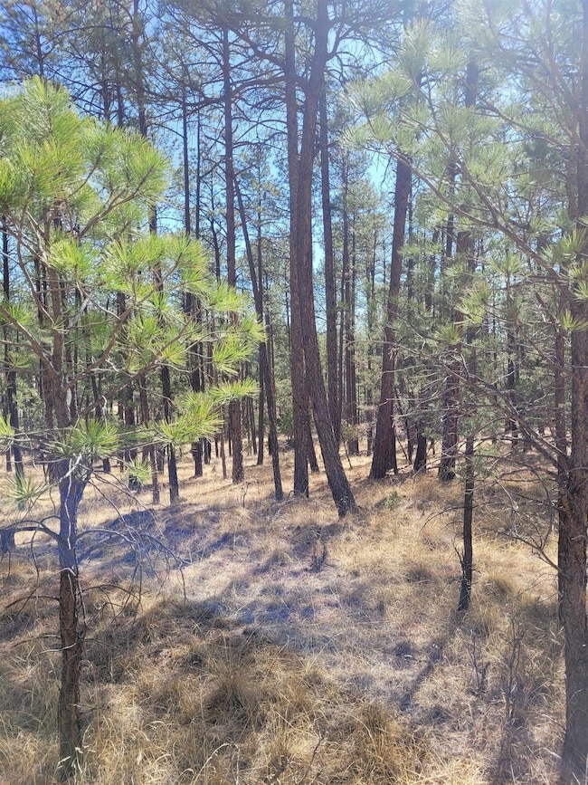 25,26,27 Damascus Rd, Timberon, NM 88350 - photo 2