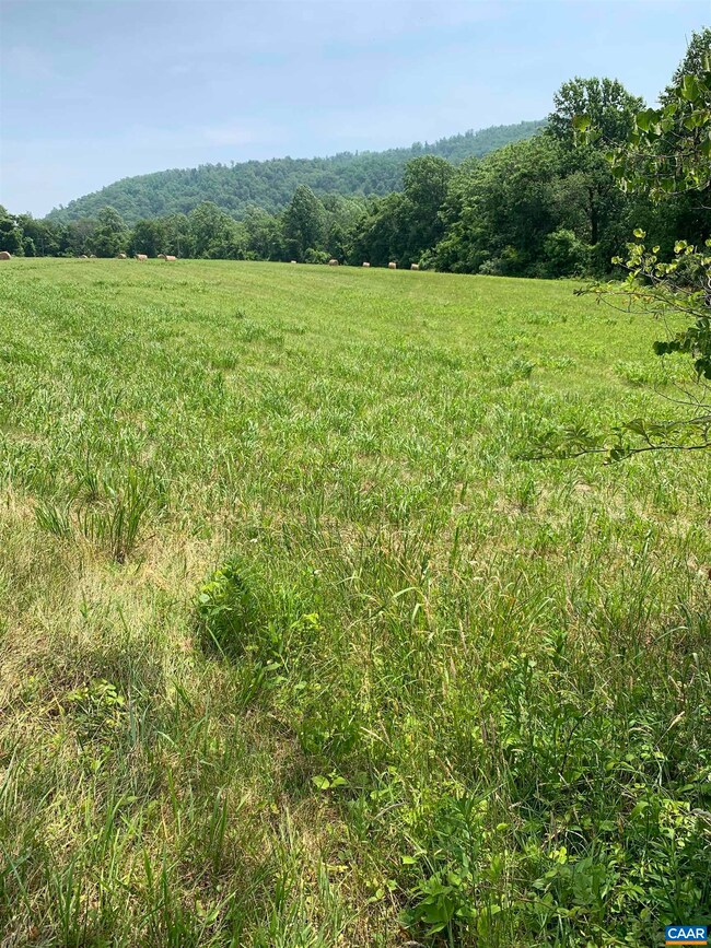 TBD Arrowhead Ln, Charlottesville, VA 22903 - photo 5