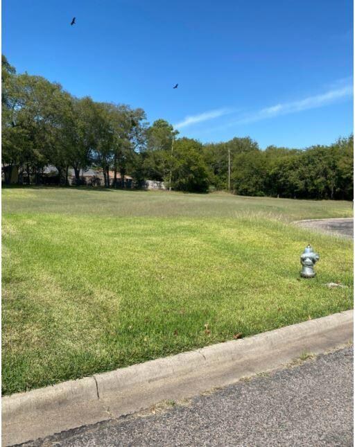 TBD Stephen Cir, Sherman, TX 75092 - photo 2