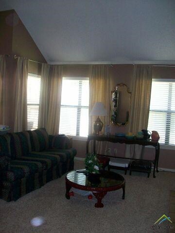 5736 Golden Oaks Dr, Tyler, TX 75703 - photo 3