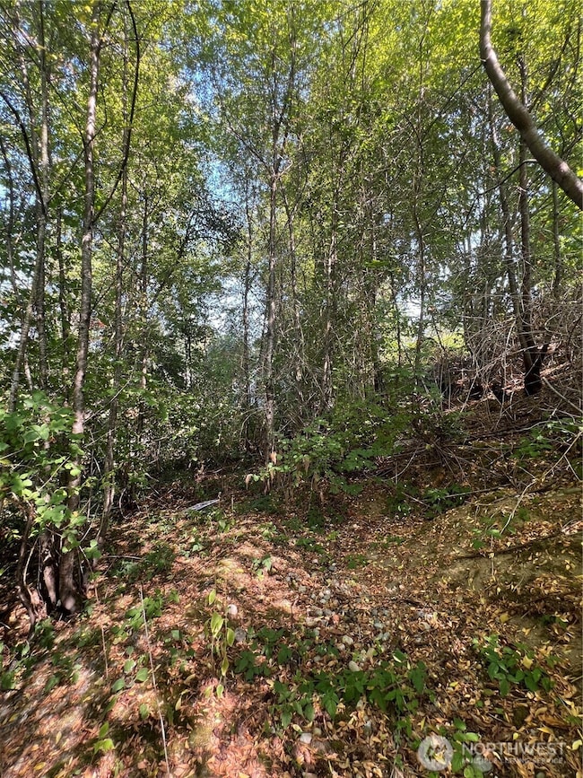 106 Xx MacArthur Ln, Mukilteo, WA 98275 - photo 3