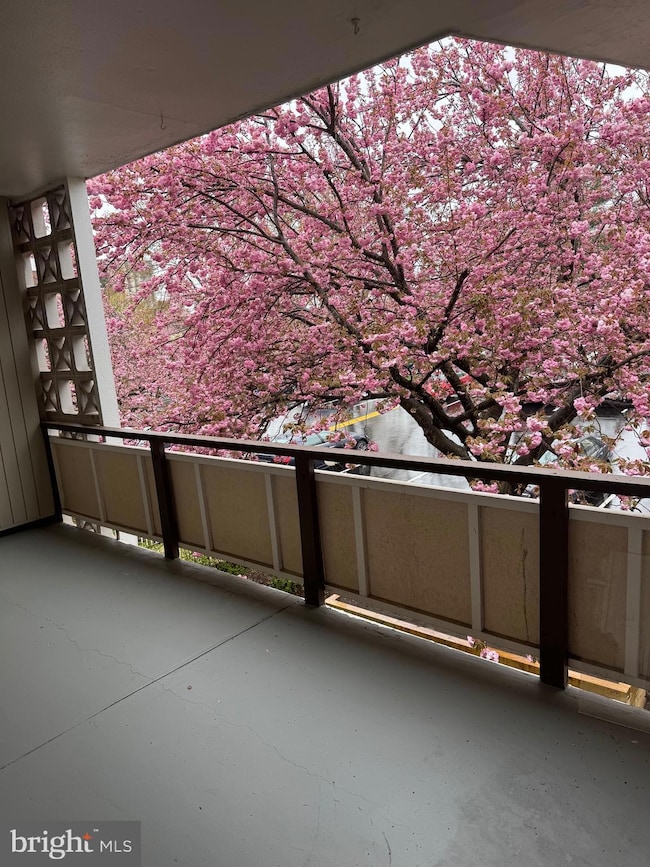 7553 Spring Lake Dr unit D1, Bethesda, MD 20817 - photo 3