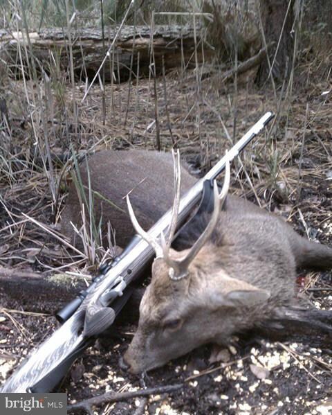 0 Andrews Rd unit 1001675899, Crapo, MD 21626 - photo 5