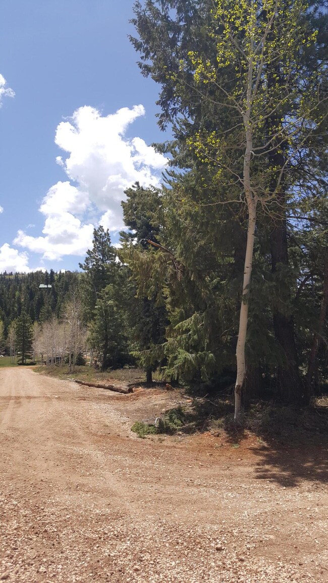 580 S Scenic Dr, Duck Creek Village, UT 84762 - photo 6