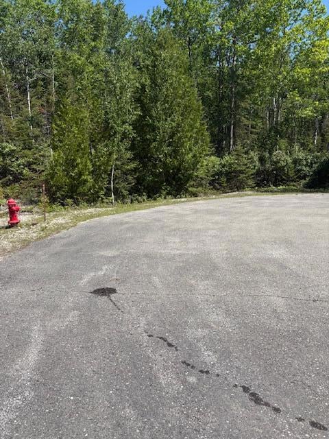 Lot 15 Tip Top Ct, Presque Isle, MI 49777 - photo 3
