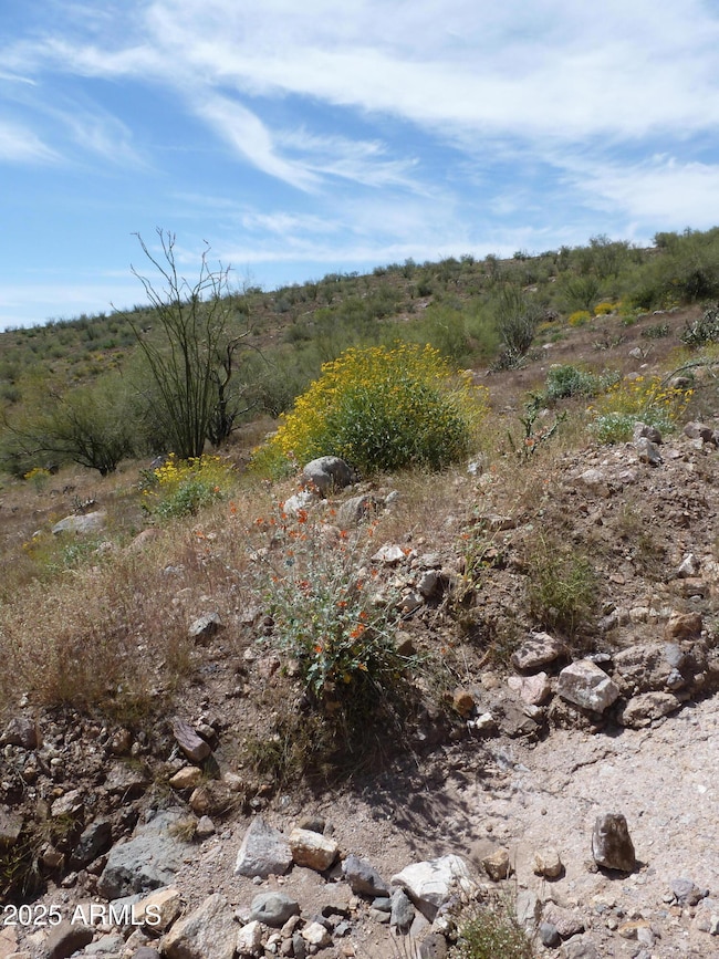 00XXX N Columbia Mine (Lot C) Trail unit 75B, Morristown, AZ 85342 - photo 7