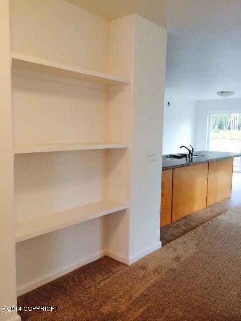 Built In Shelves