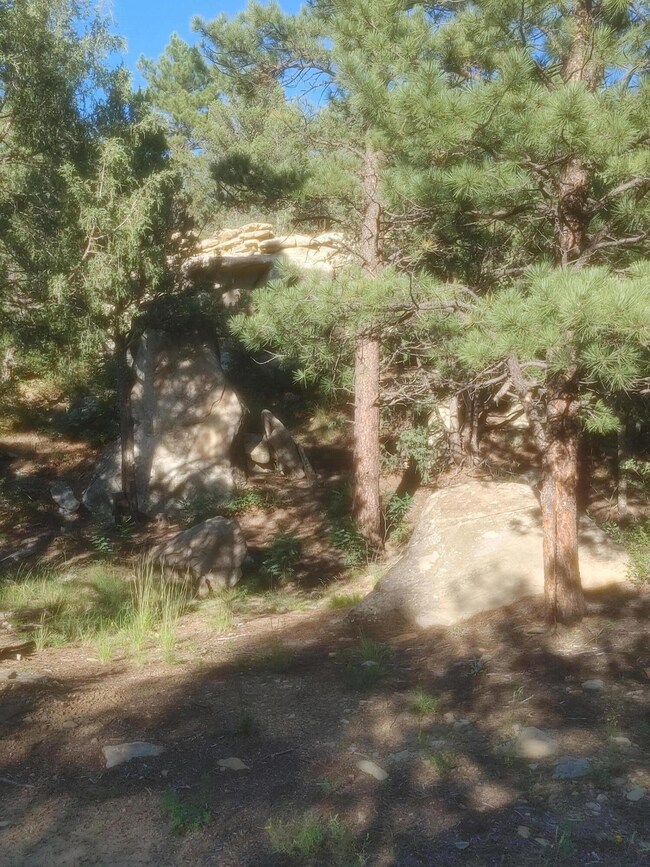 TLR 34 rock outcropping