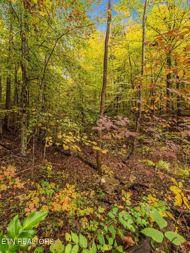 0 Mountie Ln, Knoxville, TN 37924 - photo 7