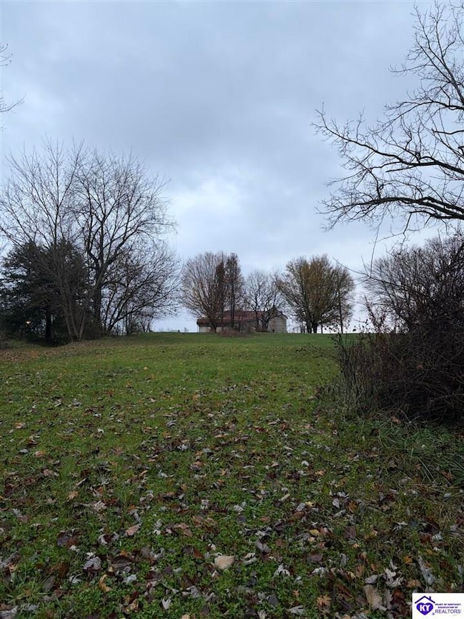 4259 N L and N Turnpike Rd, Hodgenville, KY 42748 - photo 2