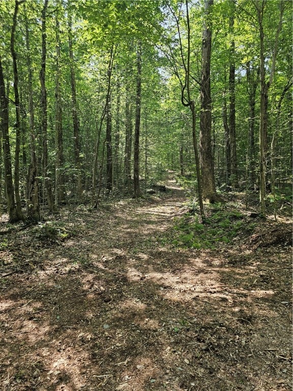 0 Cayward Rd unit R1628568, Prattsburgh, NY 14873 - photo 2