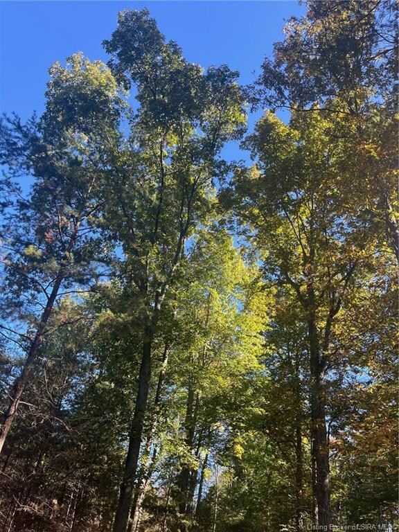 3250 S Wathen Rd, Pekin, IN 47165 - photo 6