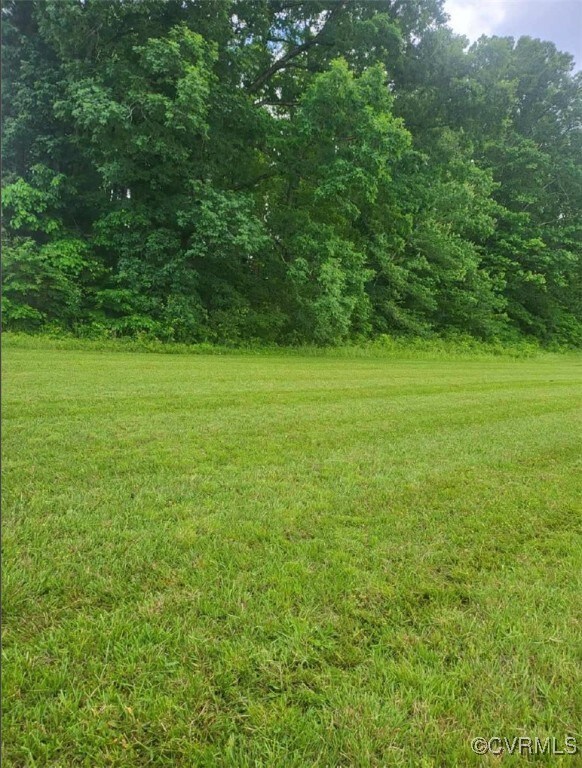 View of grassy yard