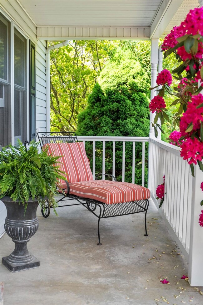 53 Stingy Hollow Rd, Staunton, VA 24401 - photo 5