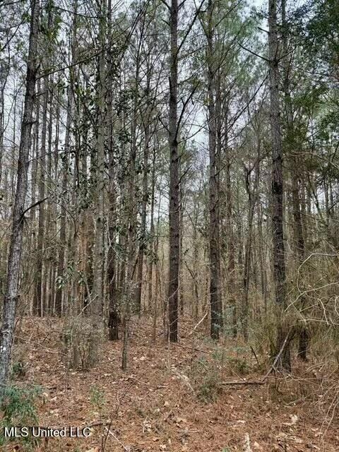 0 Maypop Ln unit 4104657, Meadville, MS 39653 - photo 6