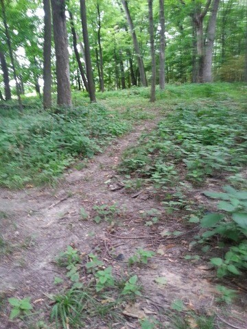 21772 2200 East St, Princeton, IL 61356 - photo 2