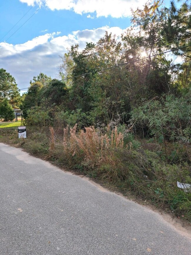 27N E Longwoods Meadows, Cypress, TX 77429 - photo 3