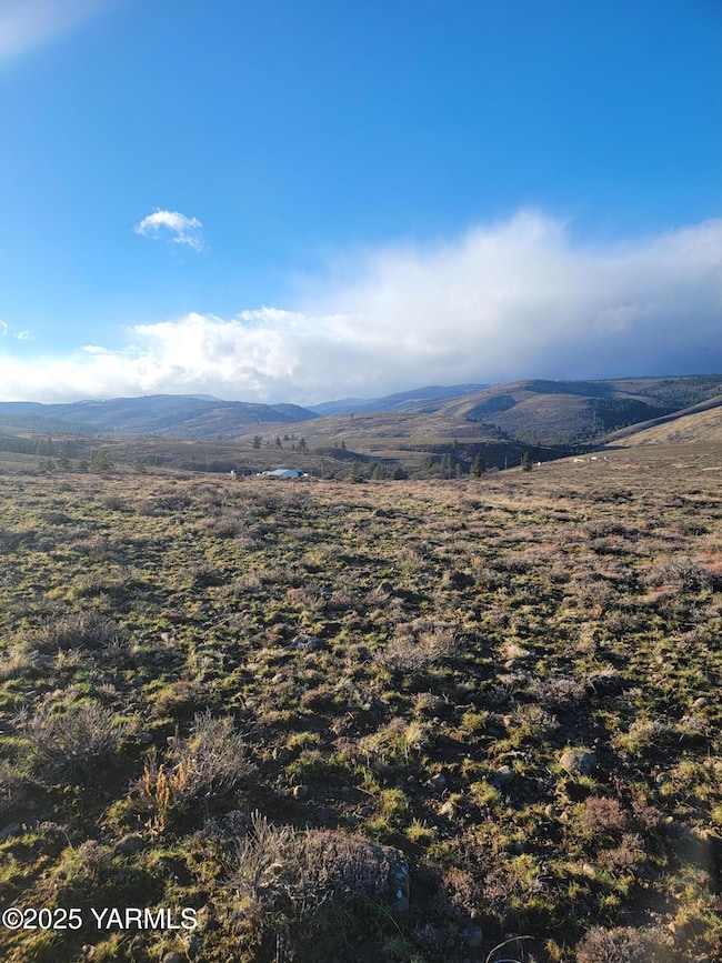 NKA Cowiche Mill Rd, Yakima, WA 98908 - photo 7